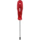 Rico Torx Star Tornavida Delikli T35x100
