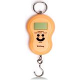 Rigour Elektronik Dijital El Kantarı 50 kg