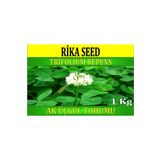 Rika Ak üçgül Tohumu, 1 Kg, Bodur Yonca Tohumu, Süs Yoncası, Trifolium Repens