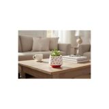 rilind El Yapımı Taş Tozu Sukulent & Kaktüs Saksısı – Kalp Desenli Dekoratif Mini Saksı (8,3 × 9,2 cm)