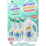 Rindamor %100 Doğal Bitkisel Çok Çok Amaçlı Konsantre Temizleyici ve Leke Çıkarıcı Seti - 750 ml