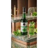 Rioba Nane Aromalı Şurup 700 ml - Mojito, Soğuk İçecek ve Kahve İçin Profesyonel Barista Serisi