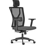 RiseOfis Loft Fileli Müdür Koltuğu Multi Tilt Mekanizma Siyah Yıldız Ayak