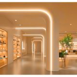 Rishang 3000k Cob Şerit Led 24v Metrede 480 Led Yüksek Crı 90 Noktasız Aydınlatma 20 Metre