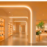 RISHANG Cob Şerit LED 24V ve Trafo Kiti – 10 Metre Set - Metrede 480 LED – Yüksek Crı > 90 – Noktasız Aydınlatma - 2700K