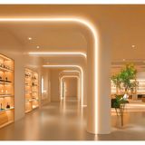 RISHANG Cob Şerit LED 24V ve Trafo Kiti – 10 Metre Set - Metrede 480 LED – Yüksek Crı > 90 – Noktasız Aydınlatma - 3000K - Gün Işığı