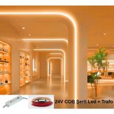 RISHANG Cob Şerit LED 24V ve Trafo Kiti – 5 Metre Set - Metrede 480 LED – Yüksek Crı > 90 – Noktasız Aydınlatma - 2700K