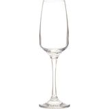 Risus Şampanya Kadehi, Sade, 195 Ml, 6 Parça