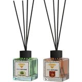 Rivola 2 Adet Premium Oda Kokusu Sandal Ağacı - Amber Reed Diffuser – Uzun Süre Kalıcı Koku – Bambu Çubuklu Ev, Ofis, Banyo Ortam Kokusu - SANDALAĞACI/AMBER