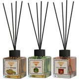 Rivola 3'lü Premium Oda Kokusu Set Mango - Amber - Hanımeli Reed Diffuser – Uzun Süre Kalıcı Koku – Bambu Çubuklu Ev, Ofis, Banyo Ortam Kokusu - Mango – Amber – Hanımeli
