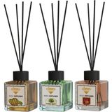 Rivola 3'lü Set Premium Oda Kokusu Mango - Amber - Sandal Ağacı Reed Diffuser – Uzun Süre Kalıcı Koku – Bambu Çubuklu Ev, Ofis, Banyo Ortam Kokusu - Mango – Amber – Sandal Ağacı