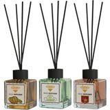Rivola 3'lü Set Premium Oda Kokusu Mango - Amber - Yasemin Reed Diffuser – Uzun Süre Kalıcı Koku – Bambu Çubuklu Ev, Ofis, Banyo Ortam Kokusu - Mango – Amber – Yasemin