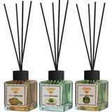 Rivola 3'lü Set Premium Oda Kokusu Mango - Sandal Ağacı - Hanımeli Reed Diffuser – Uzun Süre Kalıcı Koku – Bambu Çubuklu Ev, Ofis, Banyo Ortam Kokusu - Mango – Hanımeli – Sandal Ağacı