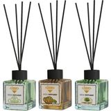 Rivola 3'lü Set Premium Oda Kokusu Mango - Sandal Ağacı - Yasemin Reed Diffuser – Uzun Süre Kalıcı Koku – Bambu Çubuklu Ev, Ofis, Banyo Ortam Kokusu - Mango – Sandal Ağacı – Yasemin