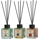 Rivola 3'lü Set Premium Oda Kokusu Sandal Ağacı - Hanımeli - Amber Reed Diffuser – Uzun Süre Kalıcı Koku – Bambu Çubuklu Ev, Ofis, Banyo Ortam Kokusu - Amber – Hanımeli – Sandal Ağacı