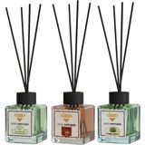 Rivola 3'lü Set Premium Oda Kokusu Yasemin - Amber - Sandal Ağacı Reed Diffuser – Uzun Süre Kalıcı Koku – Bambu Çubuklu Ev, Ofis, Banyo Ortam Kokusu - Amber – Sandal Ağacı – Yasemin