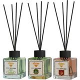 Rivola 3'lü Set Premium Oda Kokusu Yasemin - Hanımeli - Amber Reed Diffuser – Uzun Süre Kalıcı Koku – Bambu Çubuklu Ev, Ofis, Banyo Ortam Kokusu - Amber – Hanımeli – Yasemin