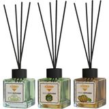 Rivola 3'lü Set Premium Oda Kokusu Yasemin - Hanımeli - Mango Reed Diffuser – Uzun Süre Kalıcı Koku – Bambu Çubuklu Ev, Ofis, Banyo Ortam Kokusu - Mango – Hanımeli – Yasemin