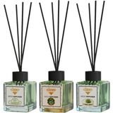 Rivola 3'lü Set Premium Oda Kokusu Yasemin - Hanımeli - Sandal Ağacı Reed Diffuser – Uzun Süre Kalıcı Koku – Bambu Çubuklu Ev, Ofis, Banyo Ortam Kokusu - Hanımeli – Sandal Ağacı – Yasemin