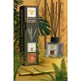Rivola Çubuklu Koku 100 Ml Amber Amber