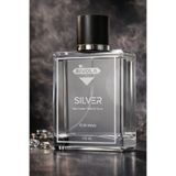 Rivola Erkek Silver Parfümsü 100 ML Edc