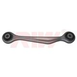 RIW AU4025 Stabilizer Z Rotu Arka Sol A4 A5 07-