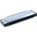Rizo HC100 10 Delikli C Do Mızıka