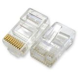 RJ50 Konnektör - 10 Pin RJ45 - 10 Adet