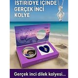 Rkm Store Istiridye Inci Kolye Kadın Şık Zarif Tasarım Paslanmaz Çelik Zincirli Inci Kolye Hediyelik Takı - Metalik Çelik