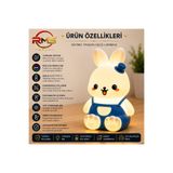 RMSGRUP RMS Bunny Dream RGB Şarjlı Silikon Tavşan Gece Lambası Çocuk Odası Uyku Arkadaşı
