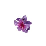Roberta Lorenz Mor Lotus Mandal Toka | Çiçek Toka | Aloha | Plumeria Kreasyonu 4 Al 3 Öde