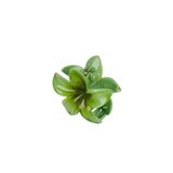 Roberta Lorenz Yeşil Lotus Mandal Toka | Çiçek Toka | Aloha | Plumeria Kreasyonu 4 Al 3 Öde