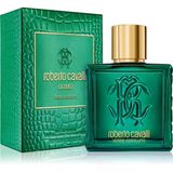 Roberto Cavalli Cavalli Uomo Verde Assoluto Edp 100 Ml Erkek Parfüm