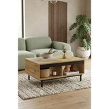 Robin Home Ares Orta Sehpa Metal Ayaklı Keçe-Siyah - Kahverengi