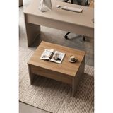 Robin Home Opus 72X52 cm Ofis Sehpası Orta Sehpa Sepet-Kumsal - Kahverengi