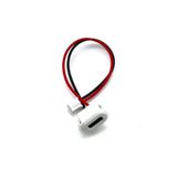 ROBİZ Type C Panel Montaj Dişi Soket 2 Pin 10cm Kablolu Beyaz Uzatma Konnektör Araba Kamera Oyuncak