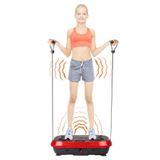 ROBO Vibrofitto Titreşimli Spor Aleti