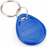 Robotekno RFID Anahtarlık 125 kHZ
