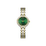 Roche Montre 27 mm Kadın Kol Saati RML5002-02