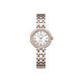 Roche Montre 27 mm Kadın Kol Saati RML5002-04