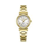 Roche Montre Altın 28 mm Kadın Kol Saati RML7001-05