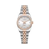 Roche Montre Çok Renkli 28 mm Kadın Kol Saati RML5013-04