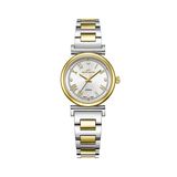 Roche Montre Çok Renkli 28 mm Kadın Kol Saati RML7001-02