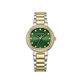 Roche Montre RML3000-04 Kadın Kol Saati