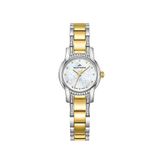 Roche Montre Rml3005-02 Rengi Metalik Gri Çelik Kadın Kol Saati - Altın
