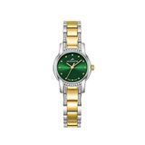 Roche Montre Rml3005-04 Rengi Metalik Gri Çelik Kadın Kol Saati - Altın