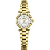 Roche Montre RML5006-06 Kadın Kol Saati - Altın