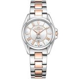 Roche Montre RML5009-03 Kadın Kol Saati - Gri