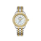 Roche Montre Rml5021-02 Rengi Metalik Gri Çelik Kadın Kol Saati - Altın