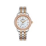 Roche Montre Rml5021-03 Metalik Rose Gold Çelik Kadın Kol Saati - Gri